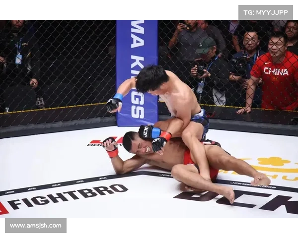 mma知名的赛事 mma知名的赛事