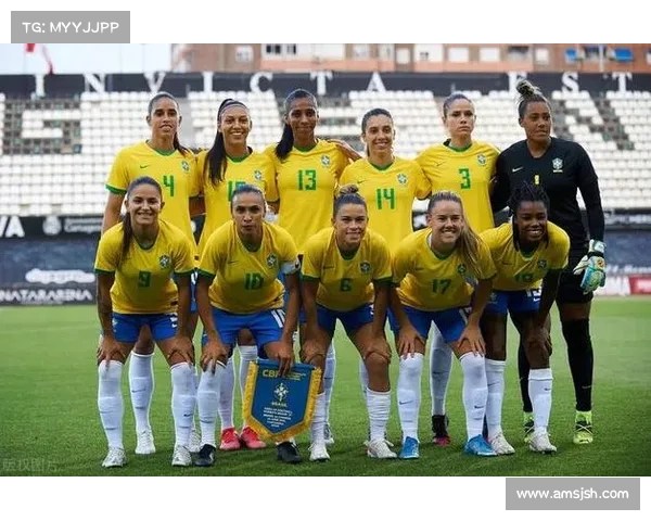 巴西对瑞典赛事分析的看法