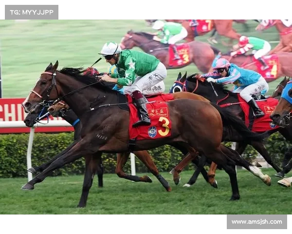 香港马会赛事(香港2021年马会赛场直播) 香港马会赛事(香港2021年马会赛场直播)